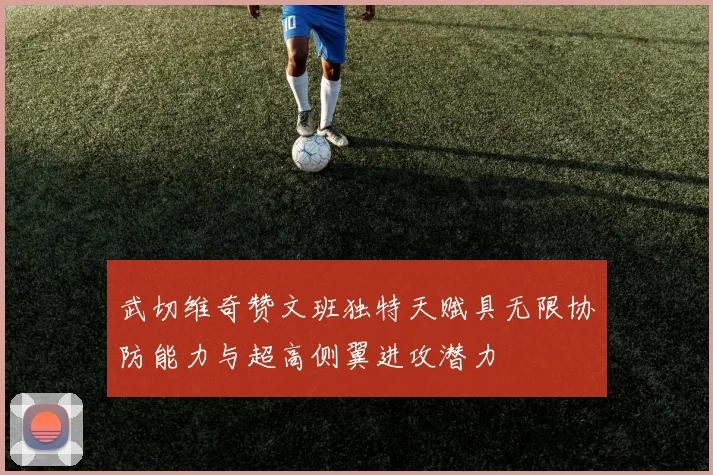 武切维奇赞文班独特天赋具无限协防能力与超高侧翼进攻潜力